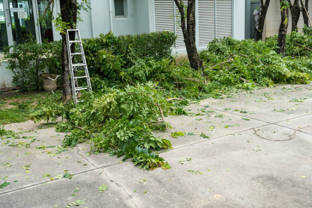 Best Hazardous Tree Removal  in Aberdeen, SD